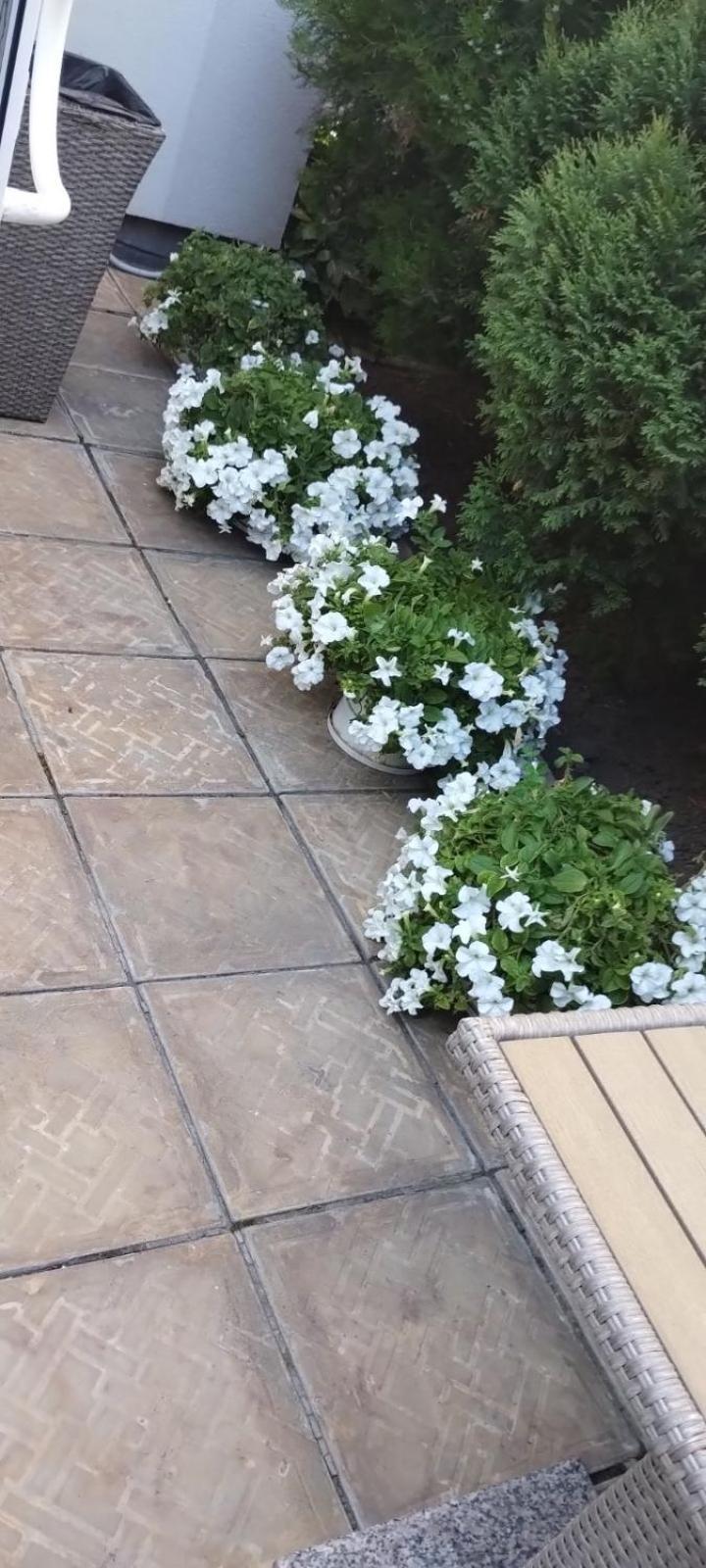 Hotel Шляпа Dnipro Exterior foto